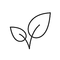 Vega